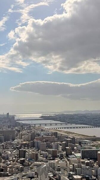 世界杯的的故事-世界杯的故事，激情与梦想的碰撞