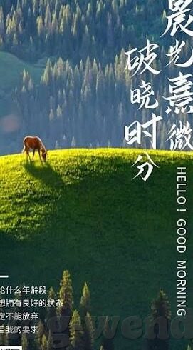 乌拉圭世界杯目前积分-乌拉圭世界杯目前积分，群雄逐鹿，绿茵场上的激烈较量